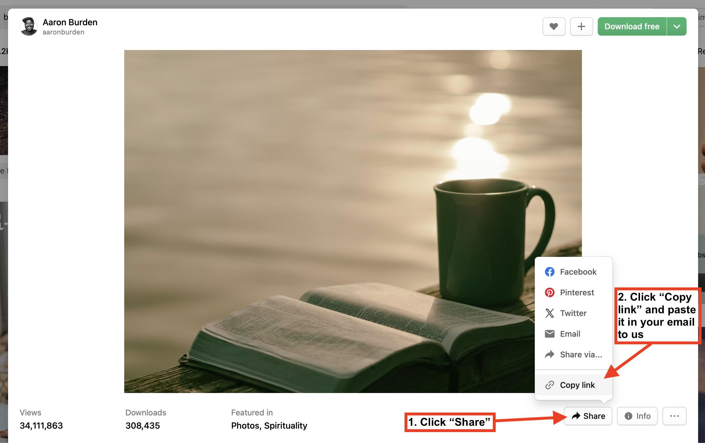 Image showing where to find the copy link button